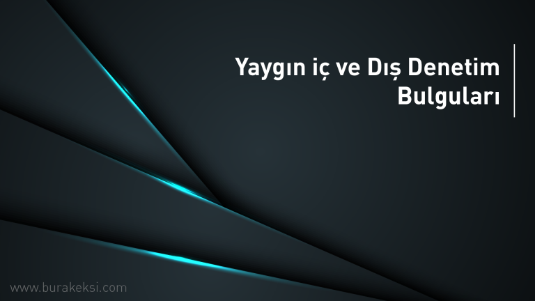 Yaygın iç ve Dış Denetim Bulguları